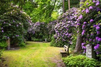 Jardin Du Souvenir Cimetière