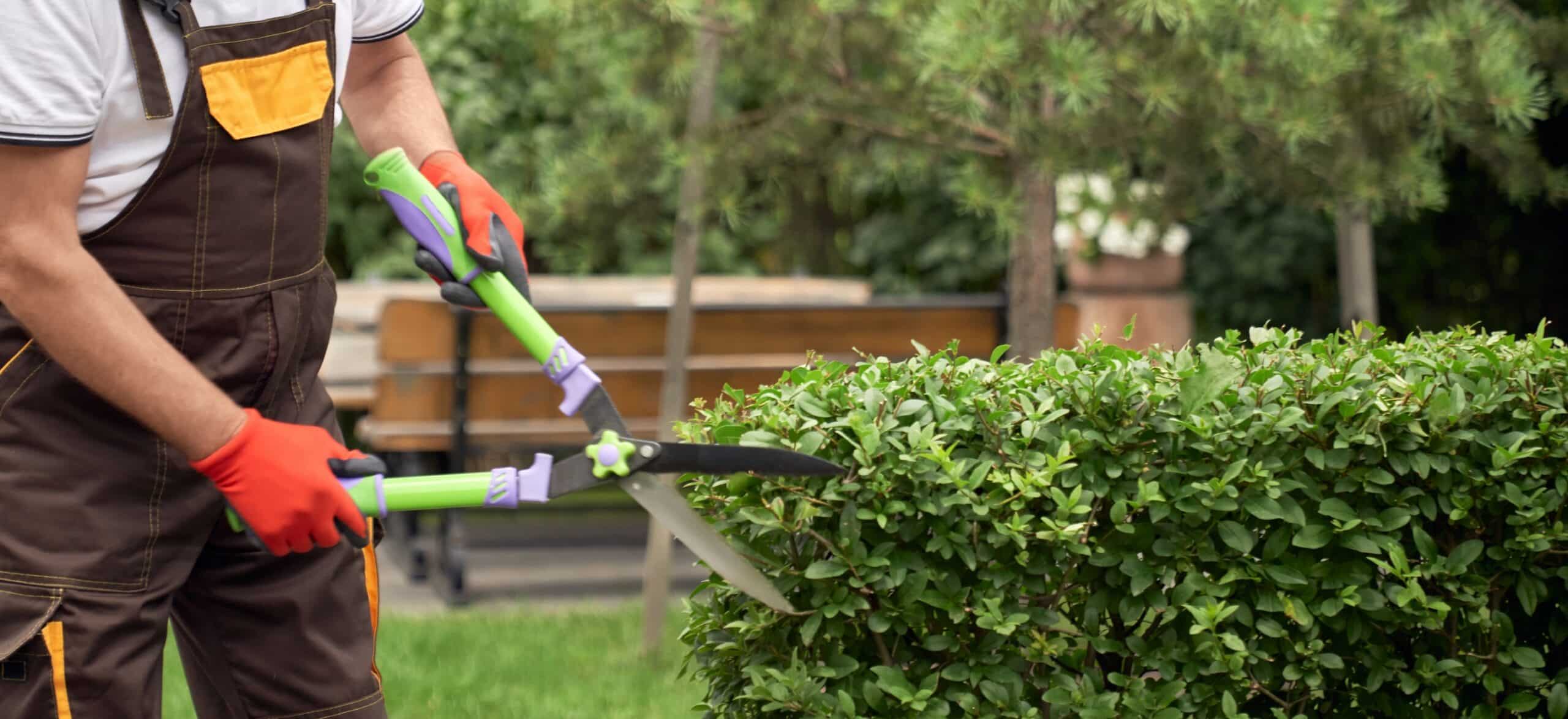 Incognito Man Cutting Overgrown Bushes.