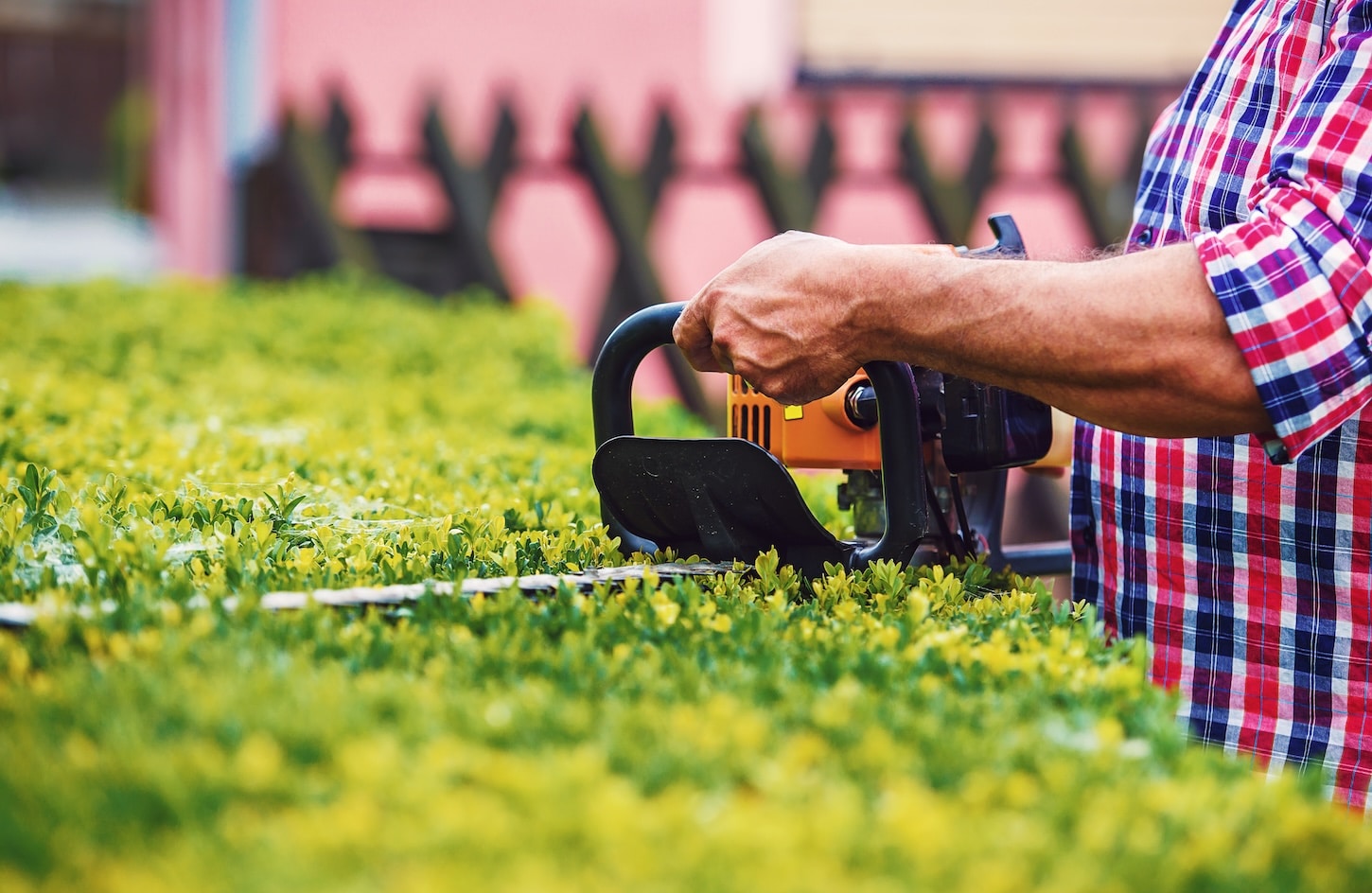 Gardening. Man Trimming Hedge In The Yard With Pruning Tools, Close Up Photo. Hobbies And Leisure