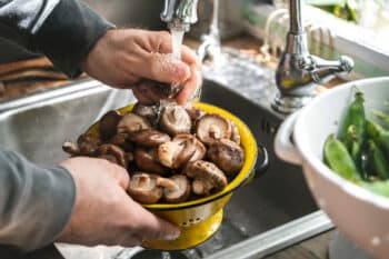 comment preparer les champignons