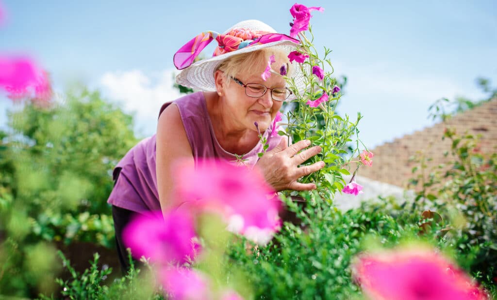 Senior Woman Working In Her Garden With A Plants. Hobbies And Leisure