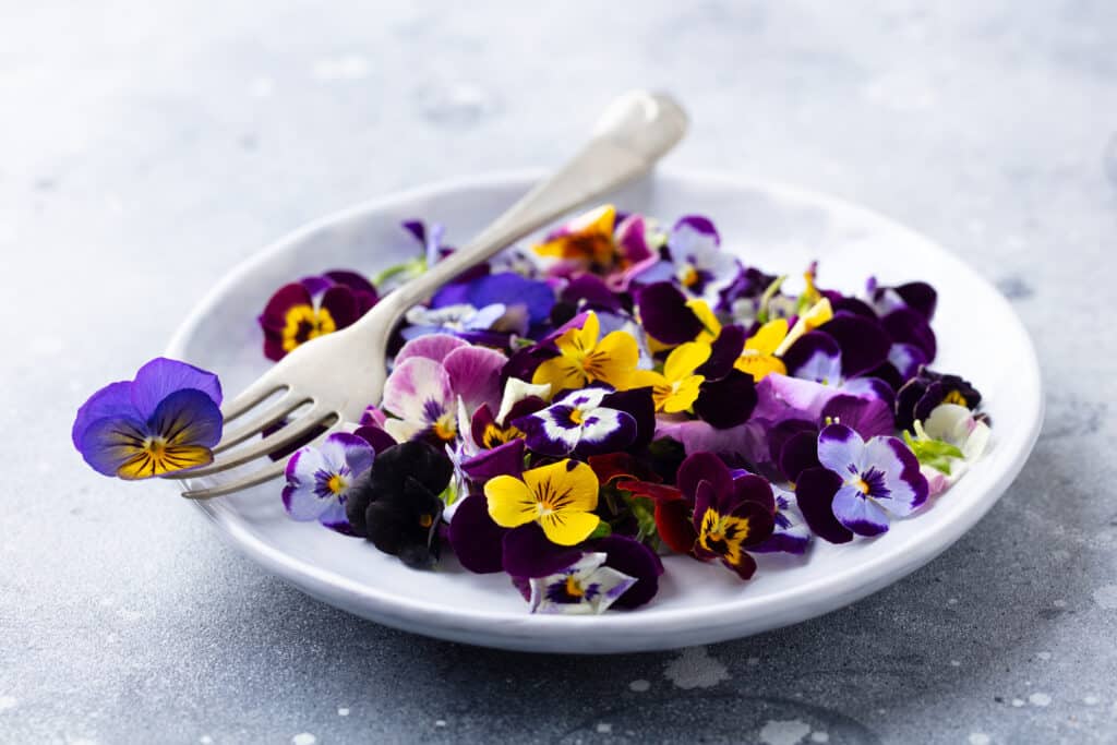 pensées comestibles, recettes avec fleurs comestibles