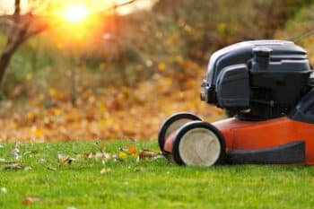 quand tondre pour la dernière fois automne