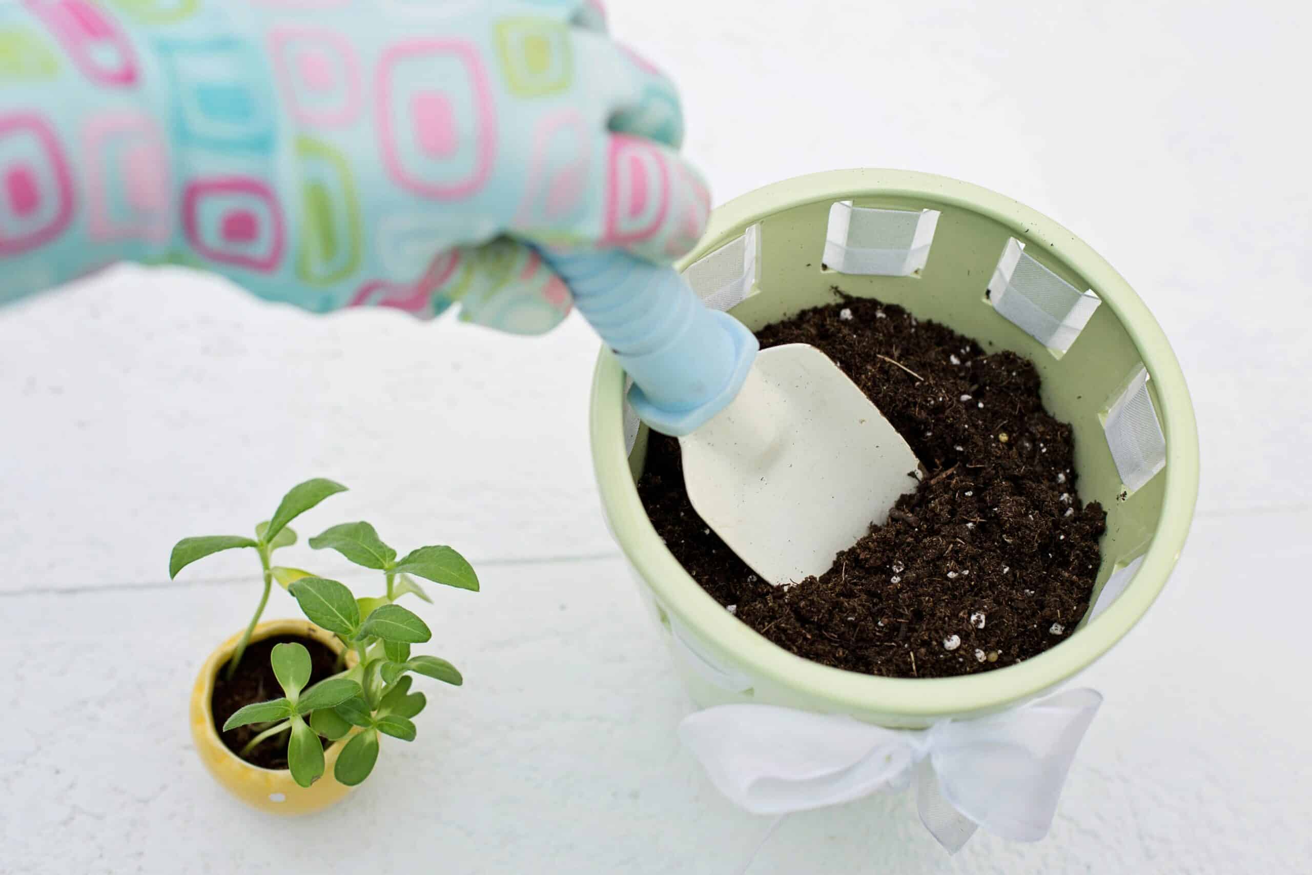 Réutiliser Terreau Pot De Fleur