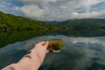 Thé Matcha après 60 ans