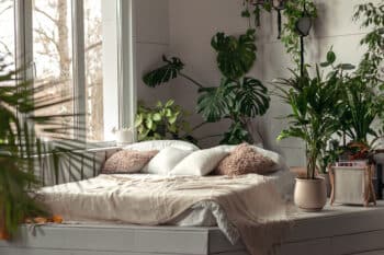 chambre pleine de plantes