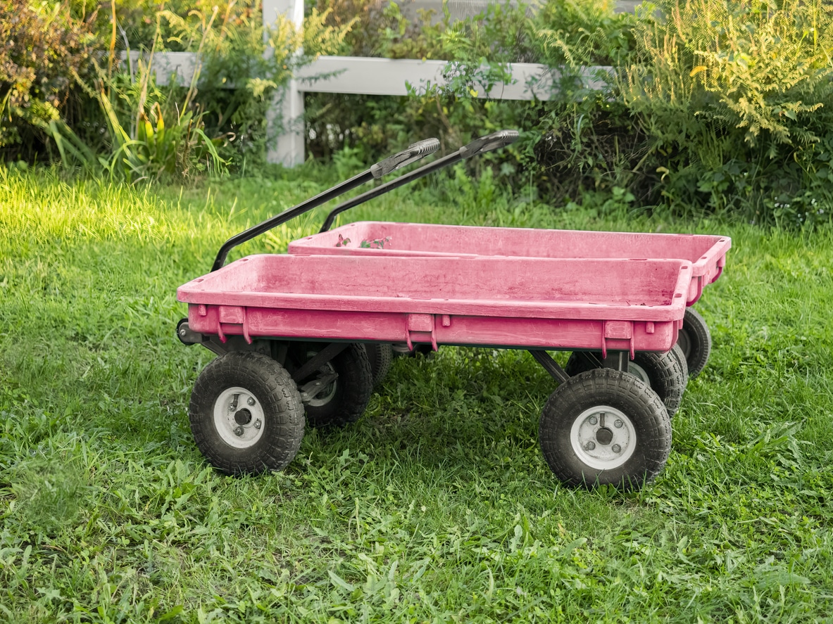 chariots de jardin