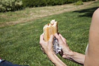 Ham Panini On The Grass