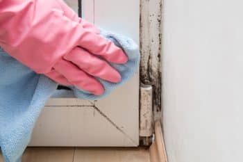 Mold In The Window Corner. Hand In Rubber Protective Glove With Microfiber Cloth Trying Remove It.