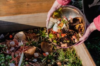 compost hiver