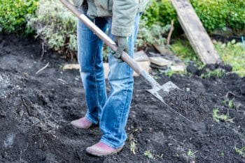 préparer le sol jardin pour le printemps