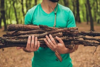 Ramasser Bois Forêt