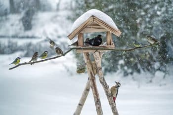 refuge hiver