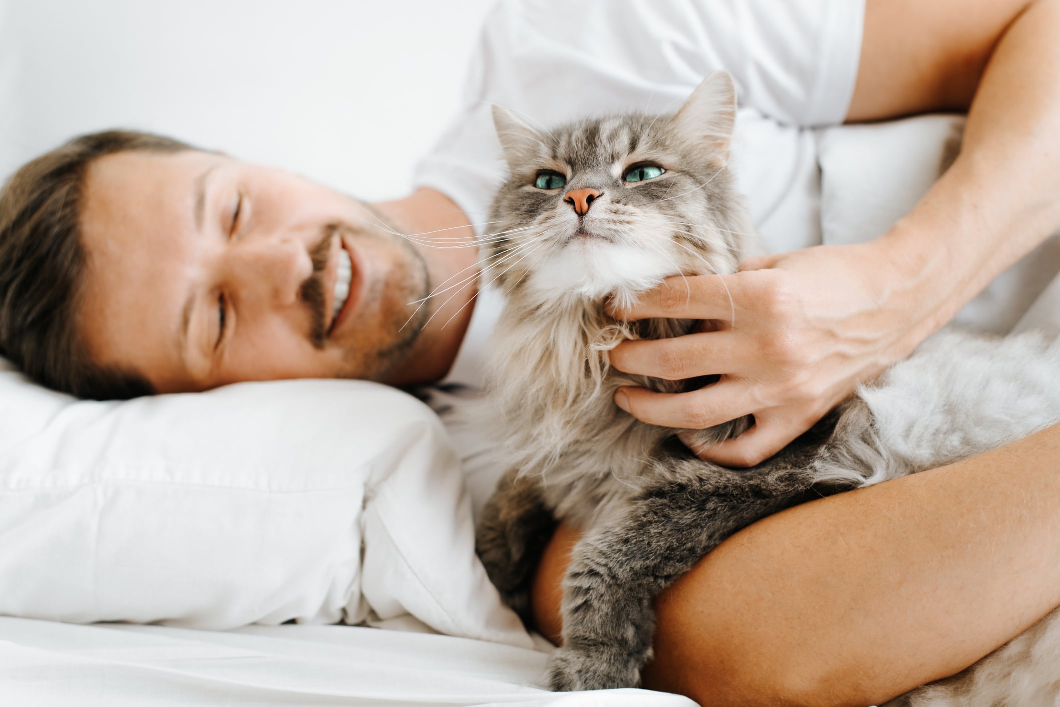 Sac-Lit Pour Chat Douillet Et Chaud - Abri Hivernal Fermé Pour Chats, Chatons Et Petits Animaux | Nid Moelleux