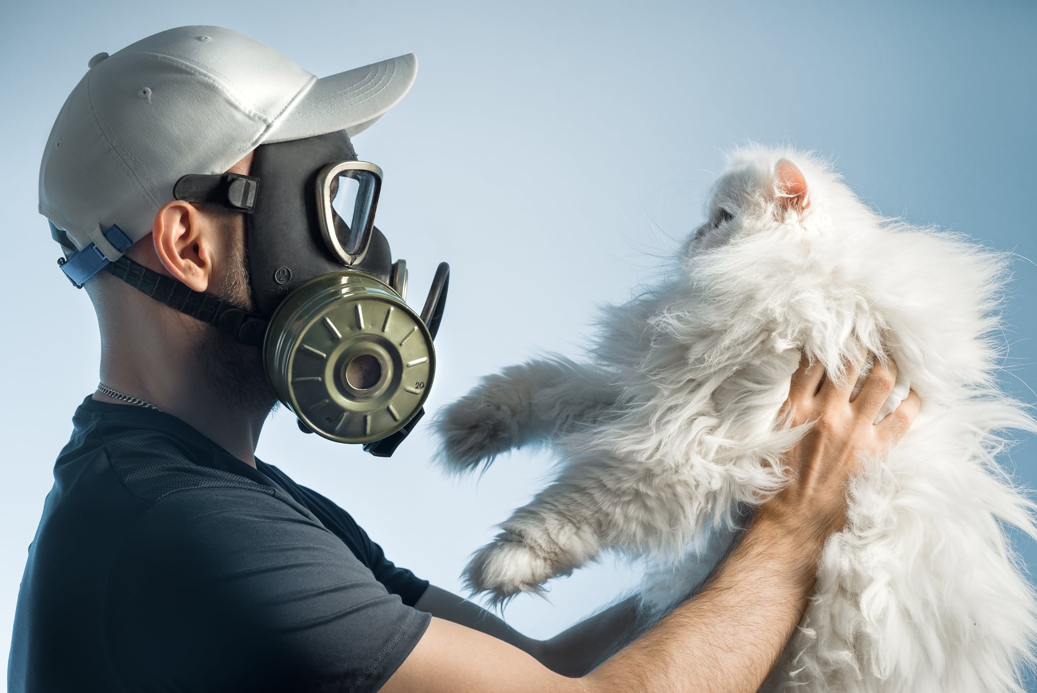 solutions allergie chat