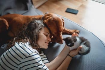 bénéfices santé chien chat