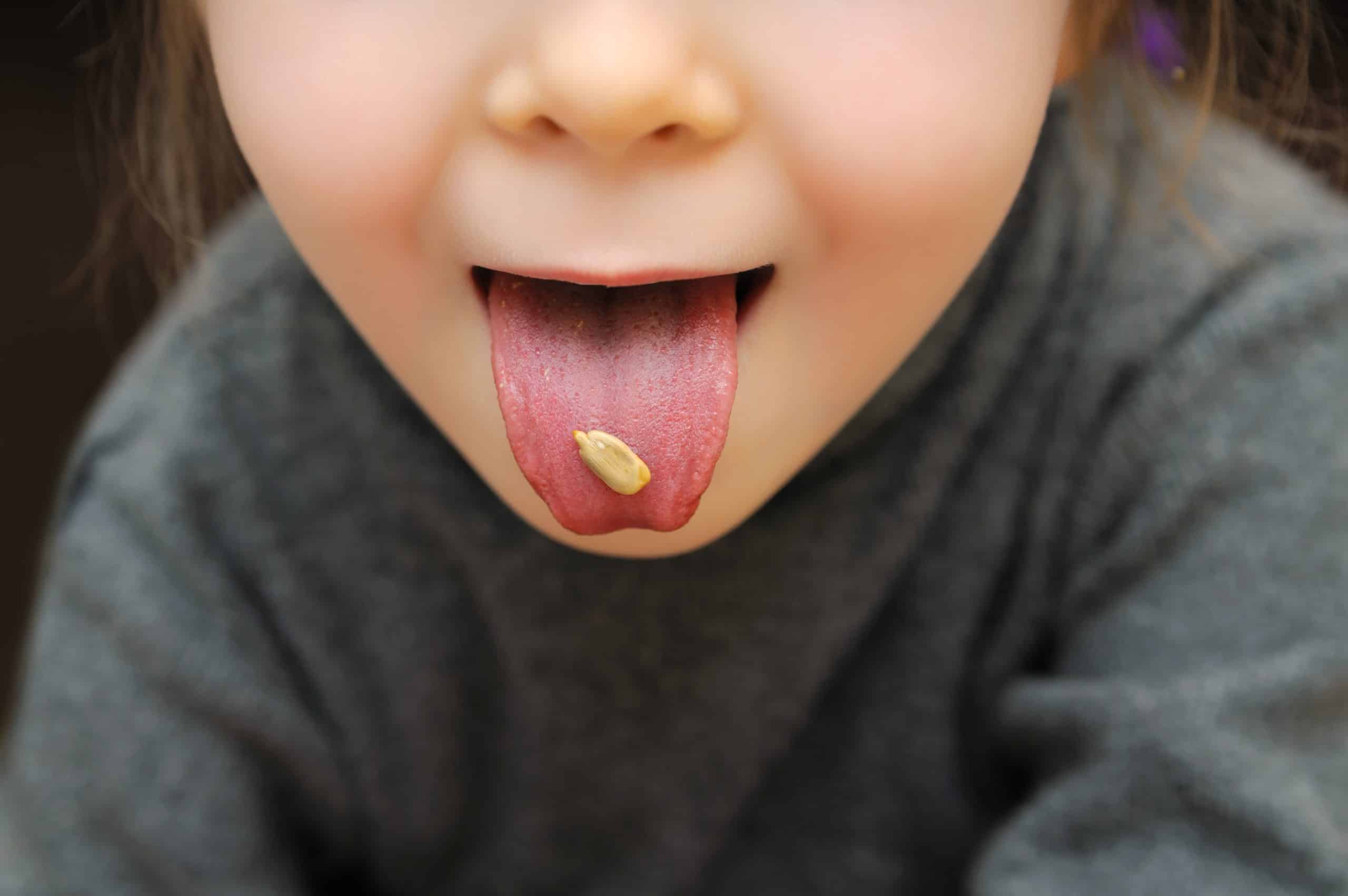 Protruded Tongue With A Sunflower Seed