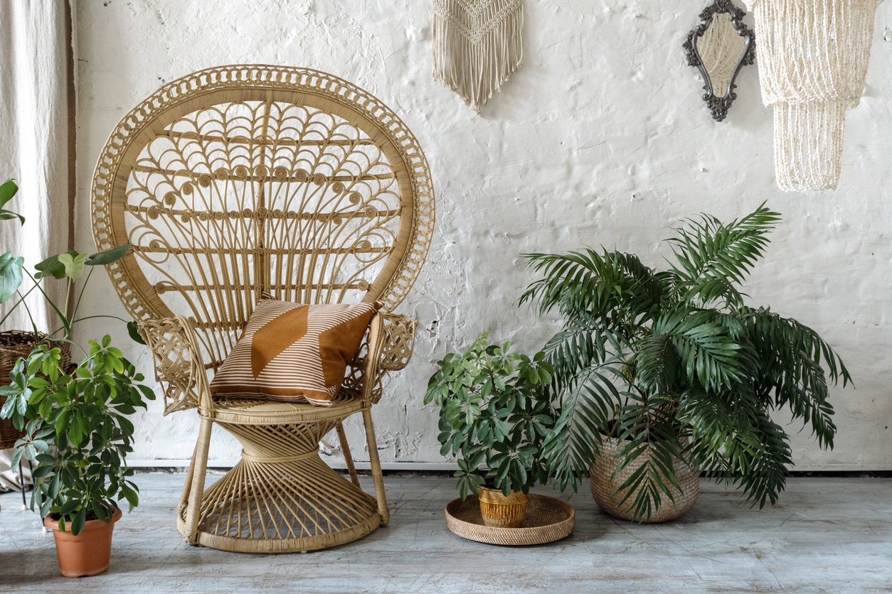 chaise rotin emmanuelle