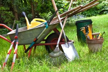 outils de jardin pas chers Action