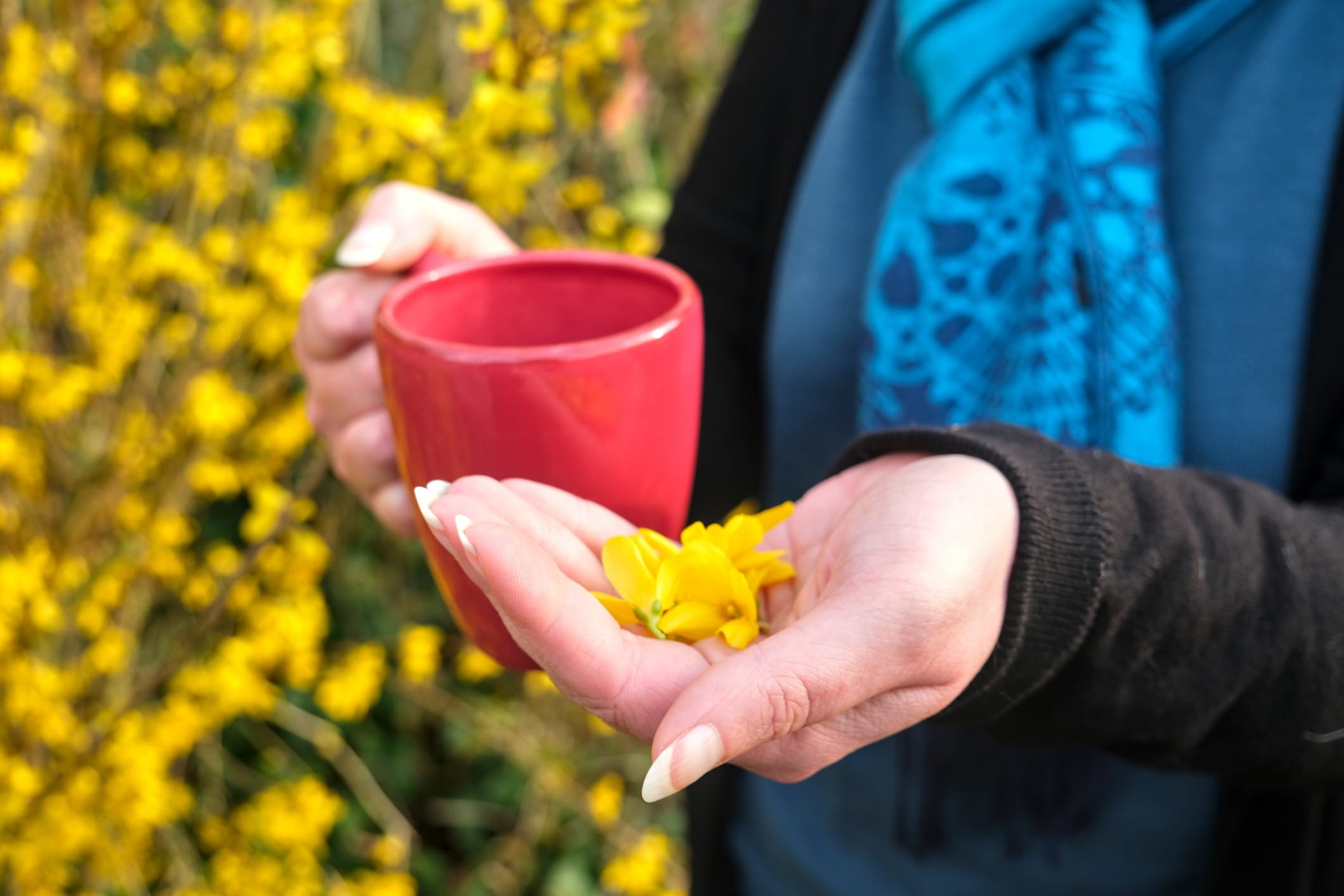 secrets forsythia