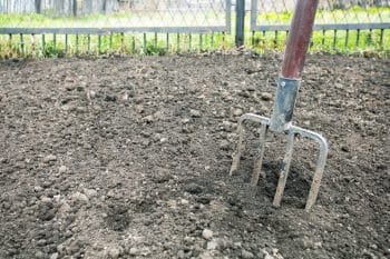 Digging The Garden. Gardener Is Digging Soil.