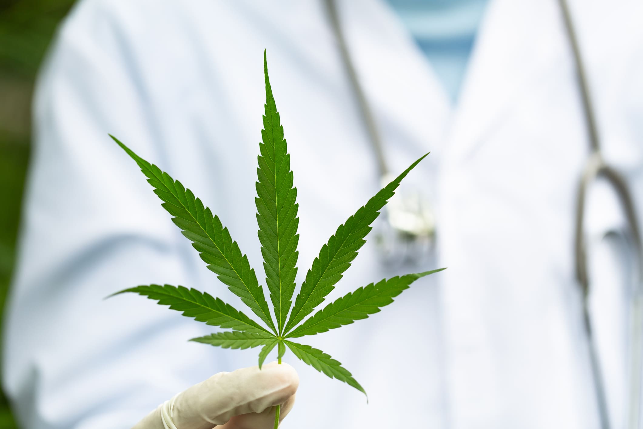 cannabis thérapeutique France commission européenne
