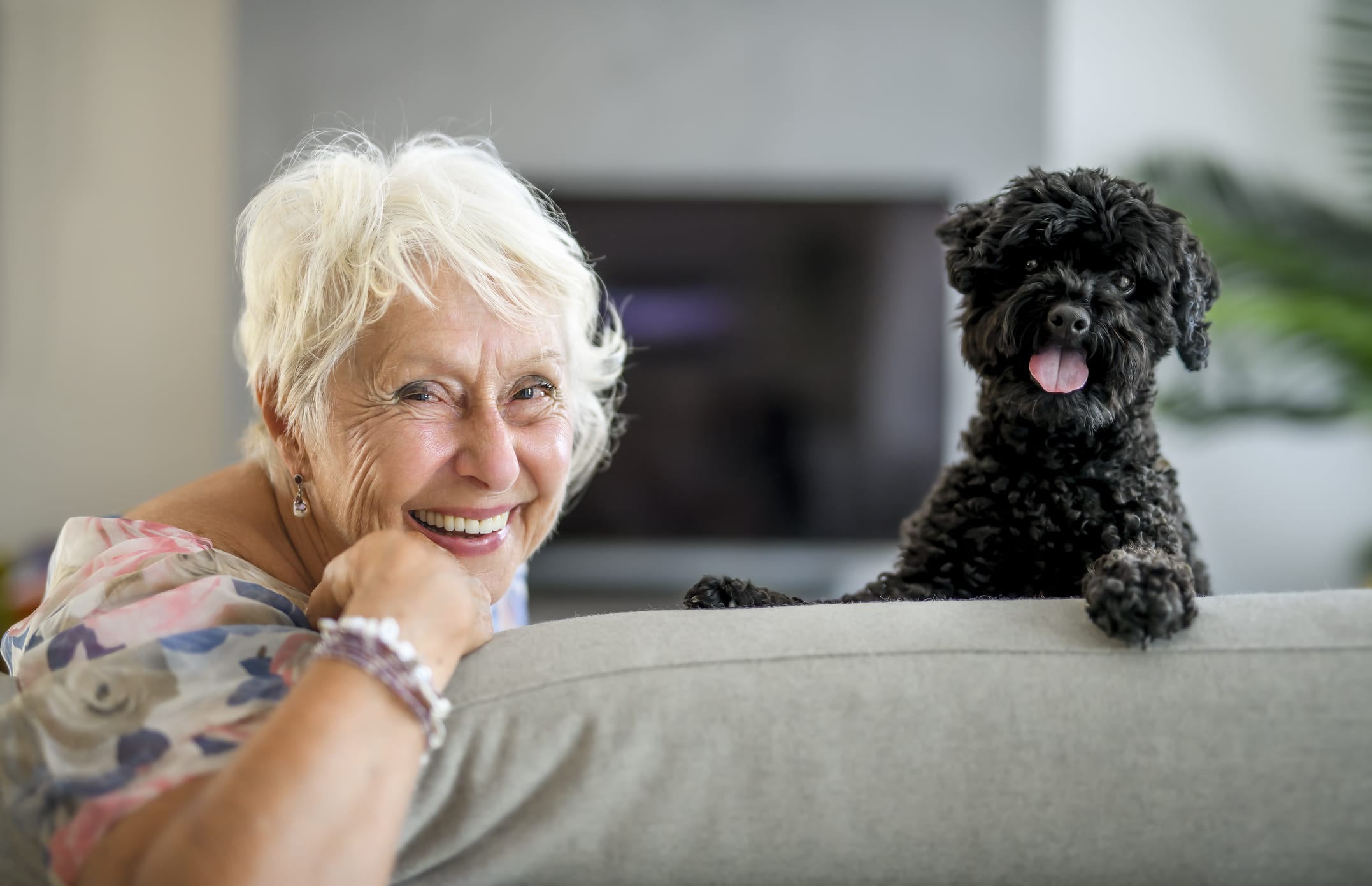 chien heureux femme senior