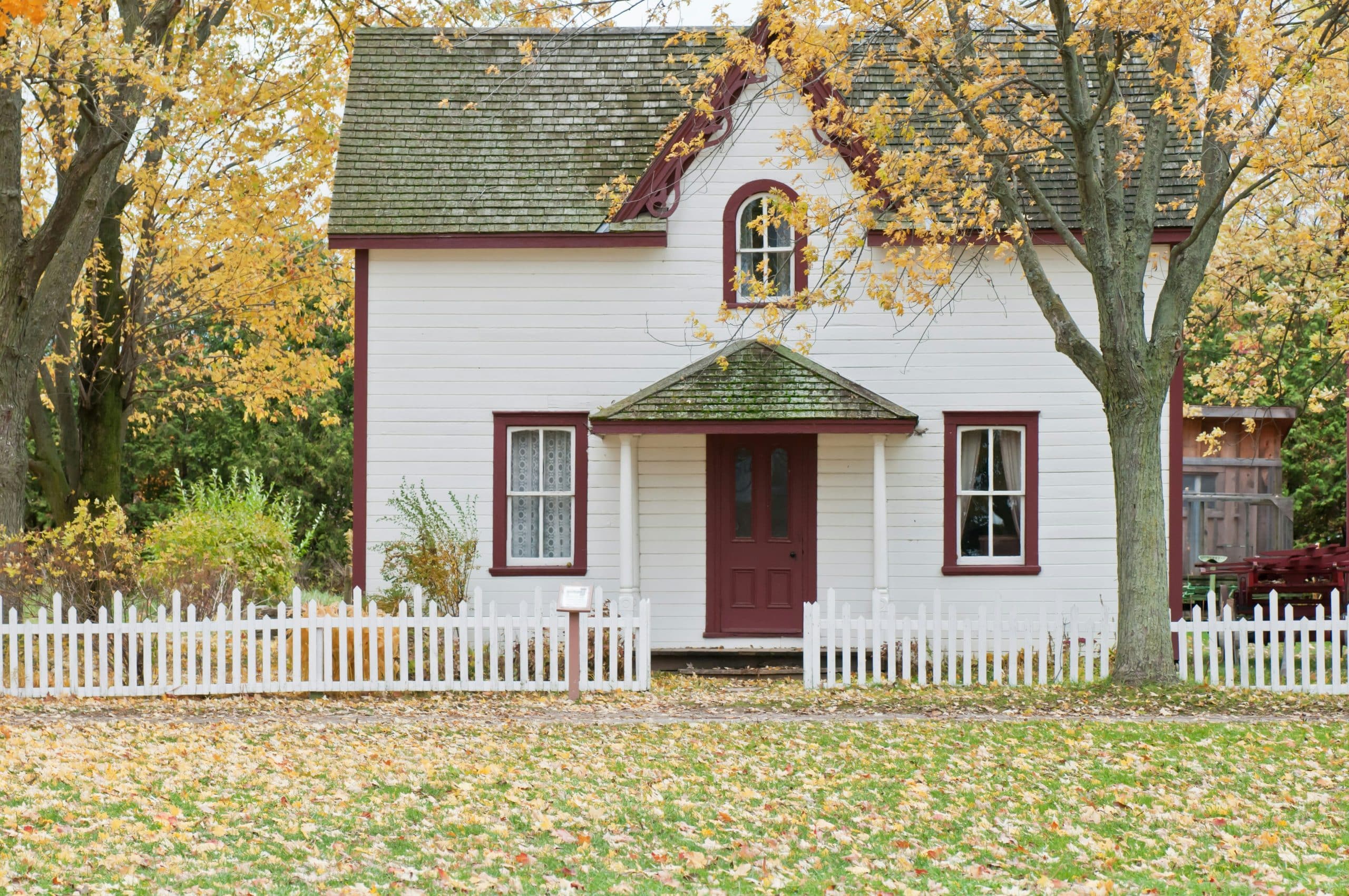 Scott Webb 1ddol8rguh8 Unsplash