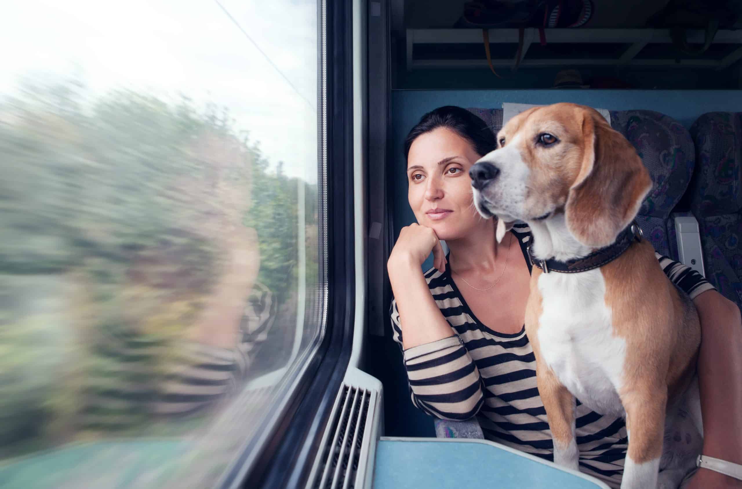 voyager train chien règles sncf 2025