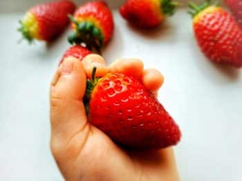 bien laver pesticides aliments