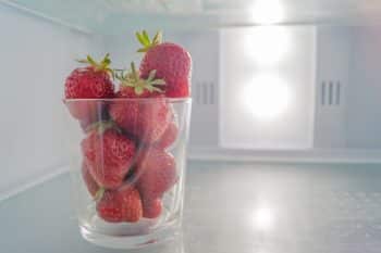 conserver fraises frigo air libre