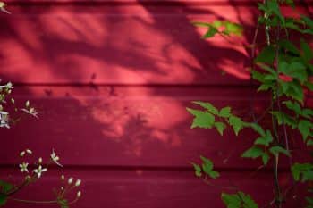 exposition jardin soleil