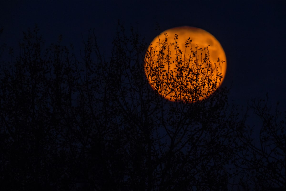 Lune Rousse Jardin