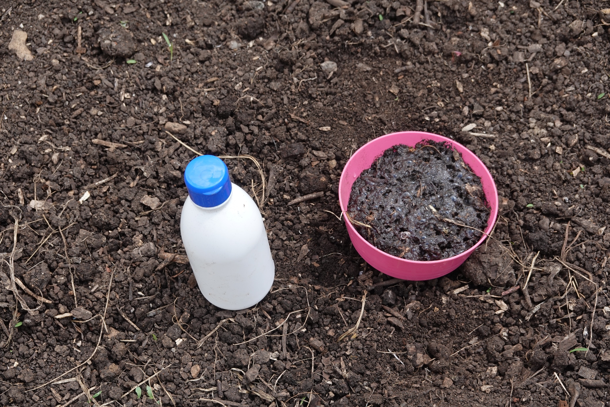 purin jardin