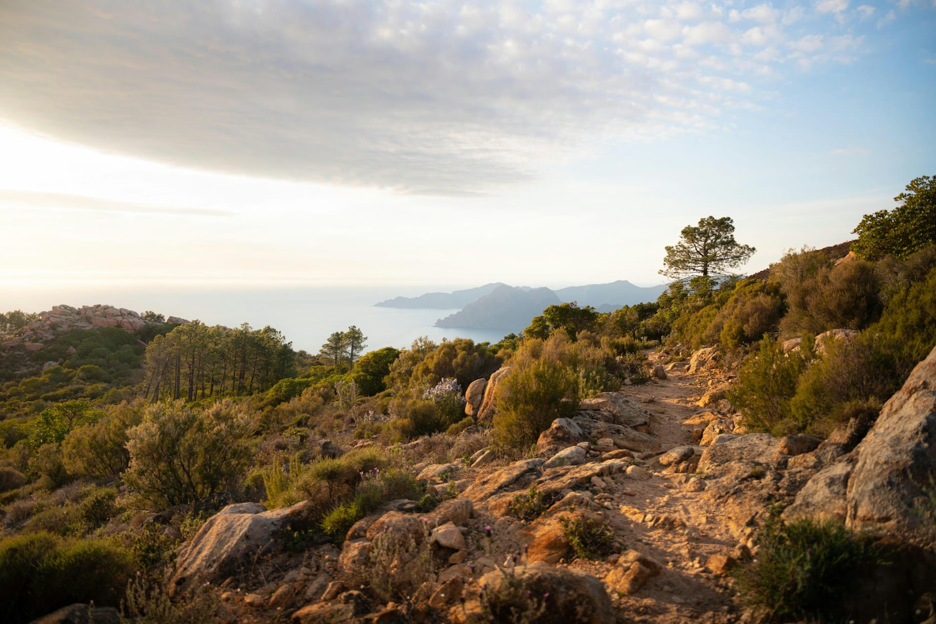 Corse Calanques Piana