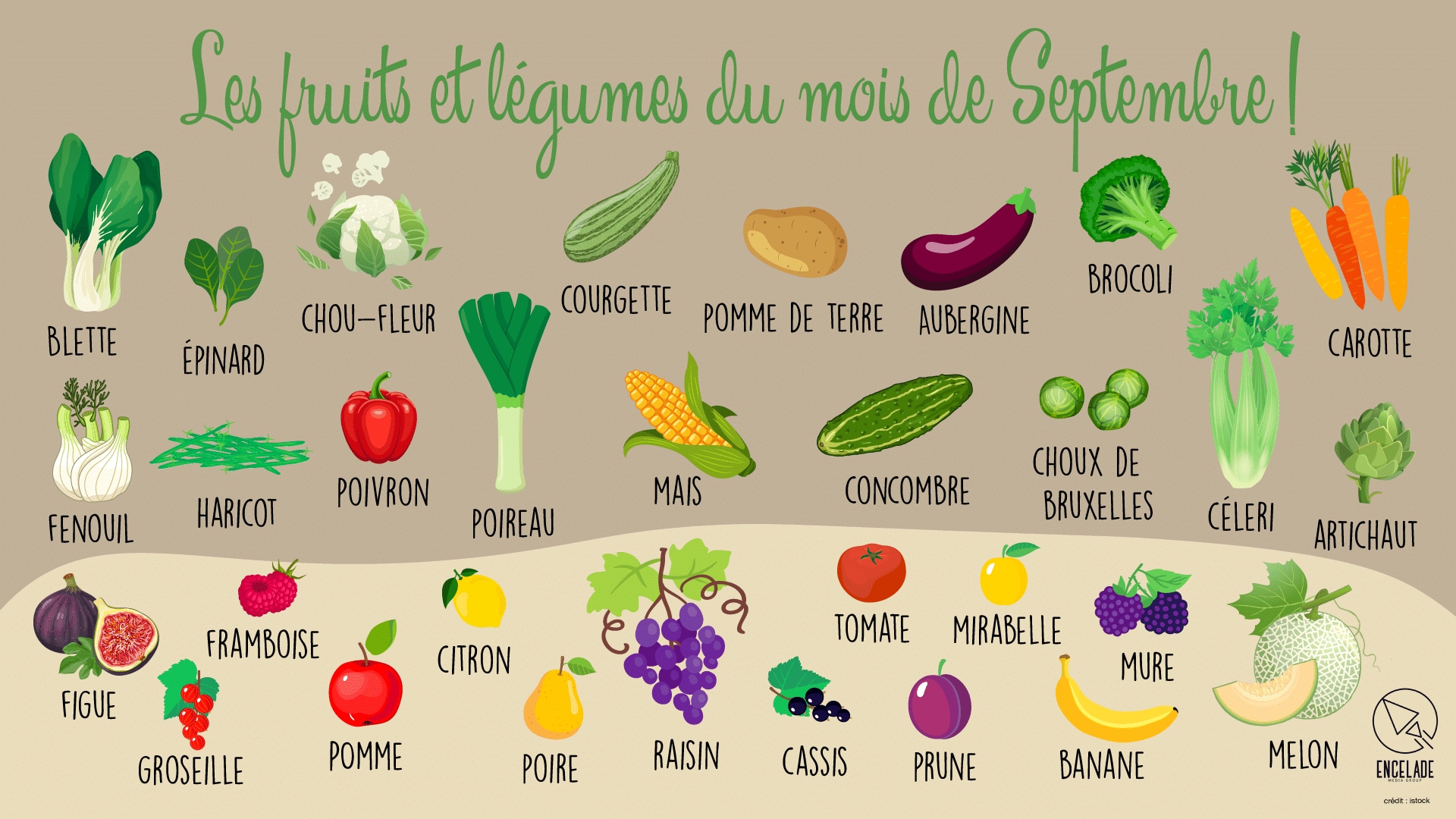 Une rentrée culinaire riche : les fruits et légumes stars qui volent la vedette