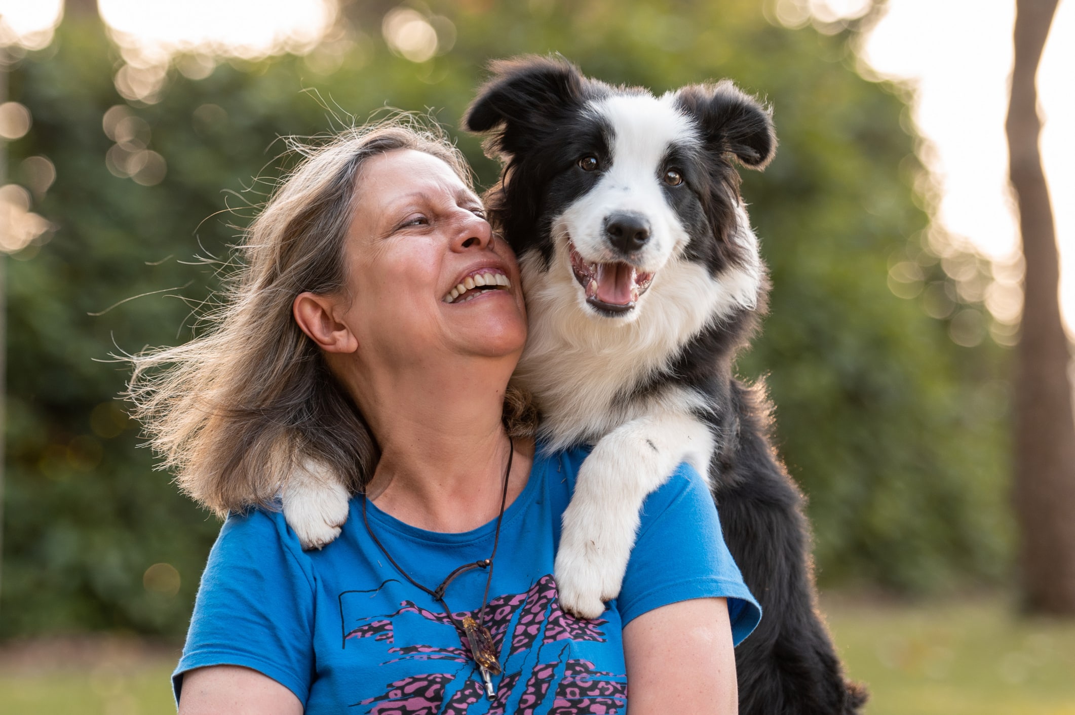 Border Collie On Woman's Shoulder