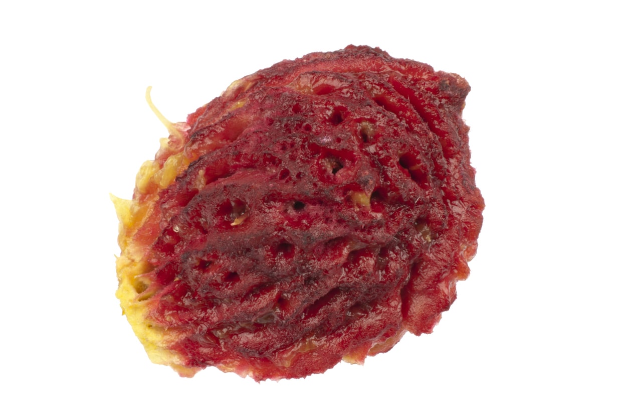 Oui On Peut Transformer Un Noyau De P%c3%aache En Arbre Fruitier Notre M%c3%a9thode Gagnante