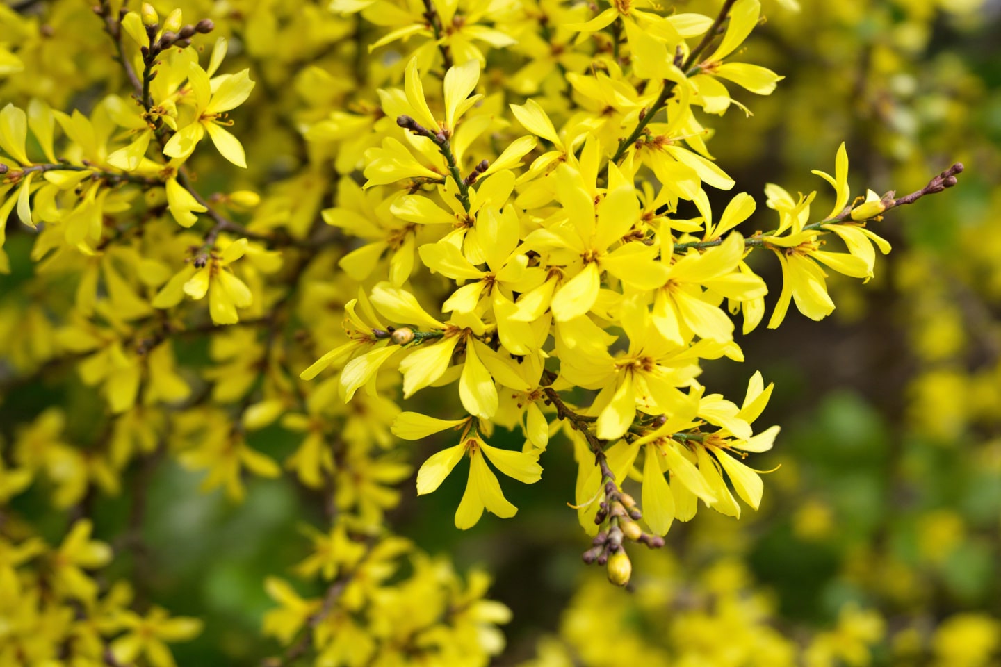 Xprzkp9gsw 1757930865