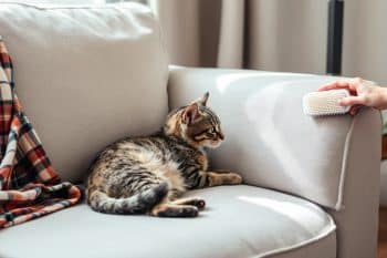 Ayq2thivwc 1760099933