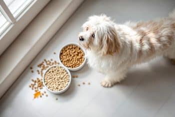 Elyeakpw7b 1759928997