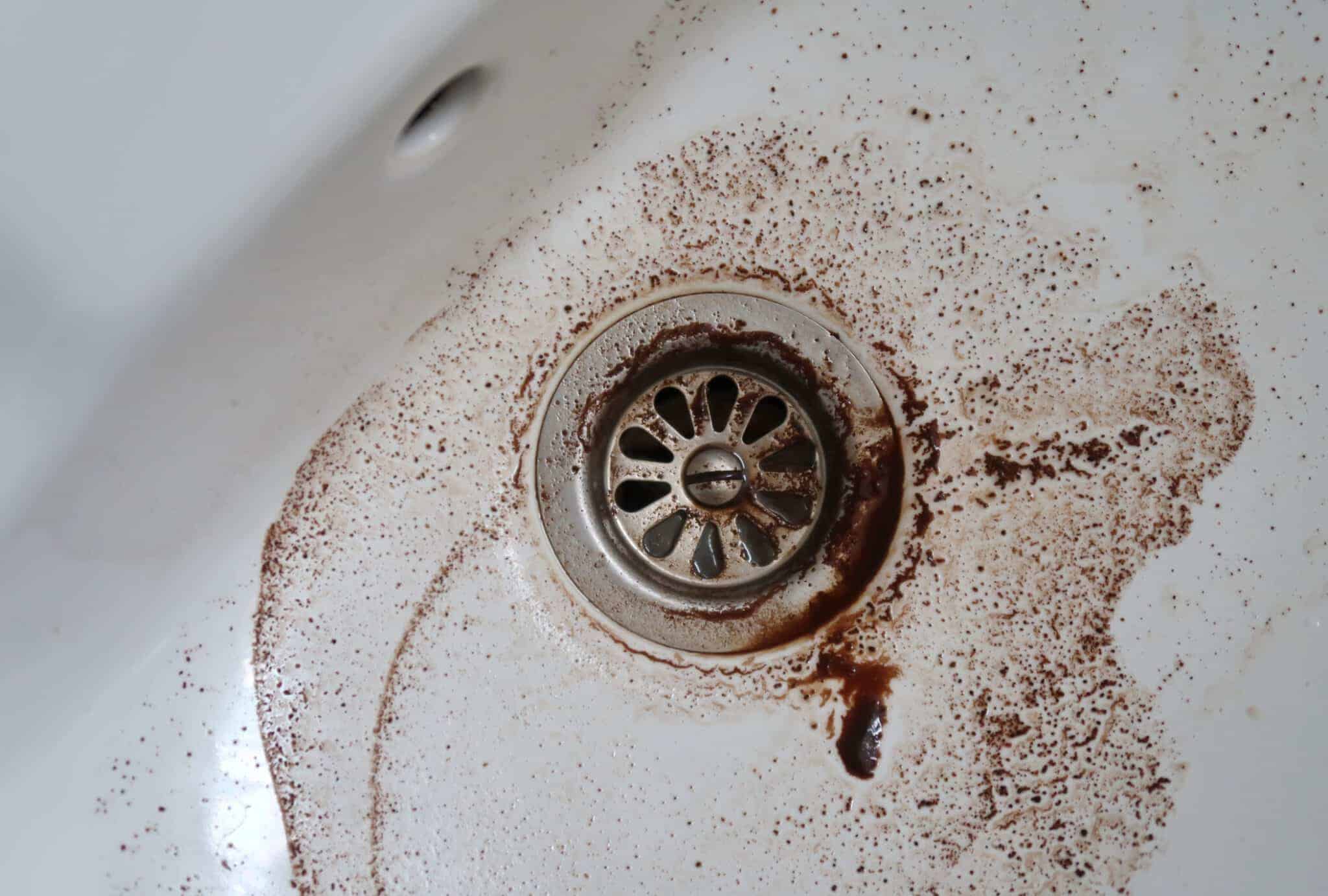 Comment bien utiliser le marc de café pour désencrasser sans catastrophe