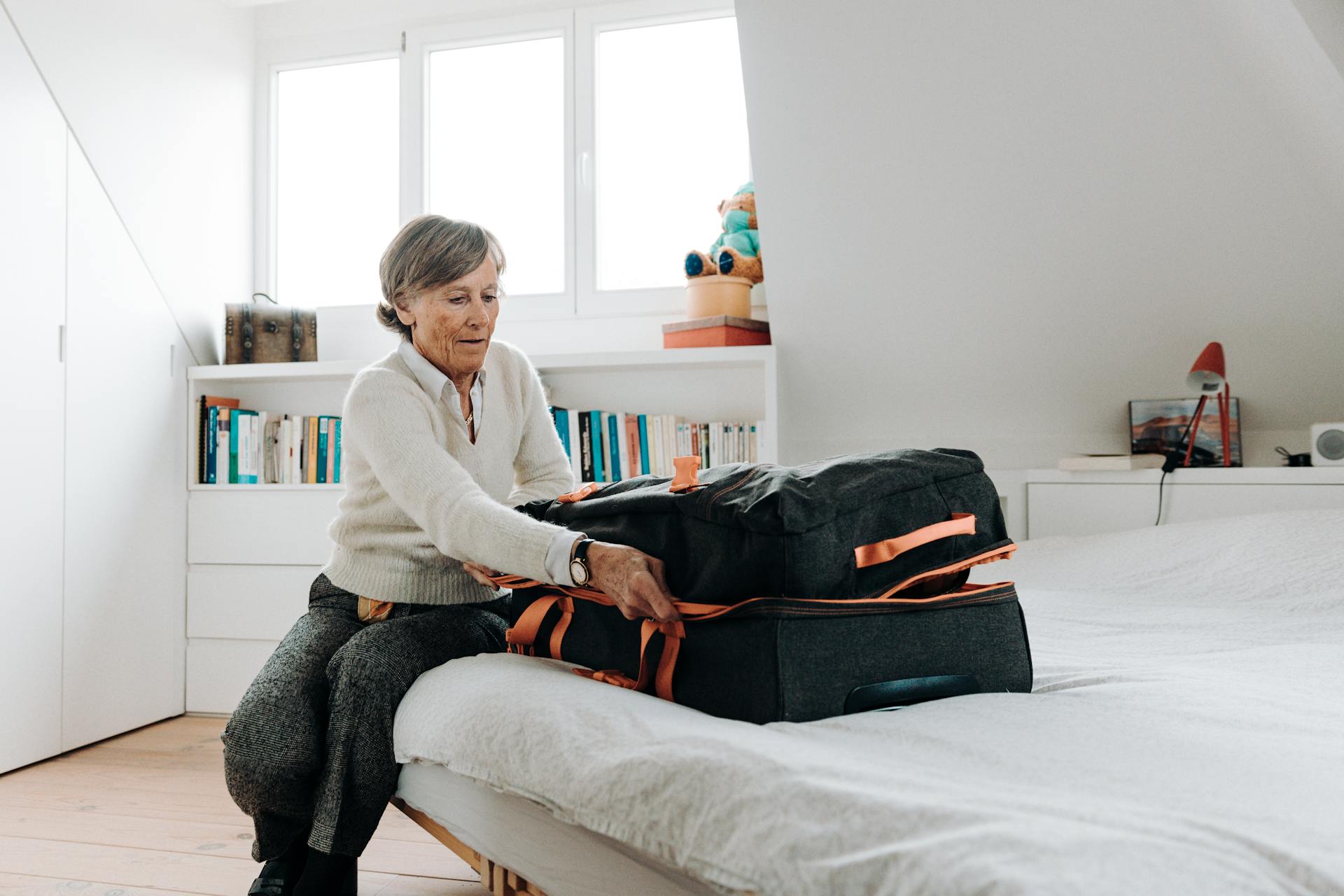 Pexels Wheeleo Valise Bagage