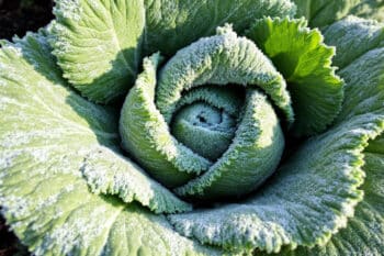 Iybg2hkx4u 1764065704