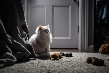 J5ch8t1hf7 1763056748