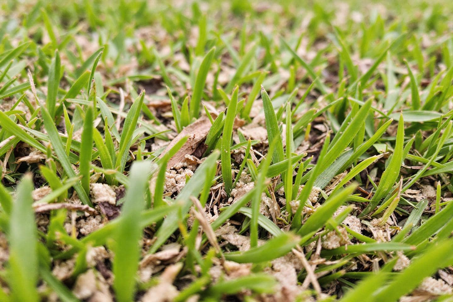 Wjaido1pmq 1763370605