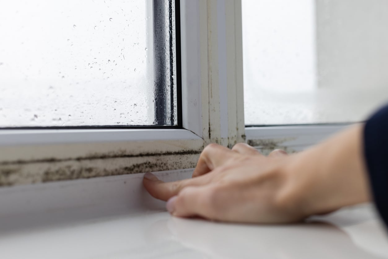 Comment le takesumi absorbe l'humidité et protège votre intérieur naturellement