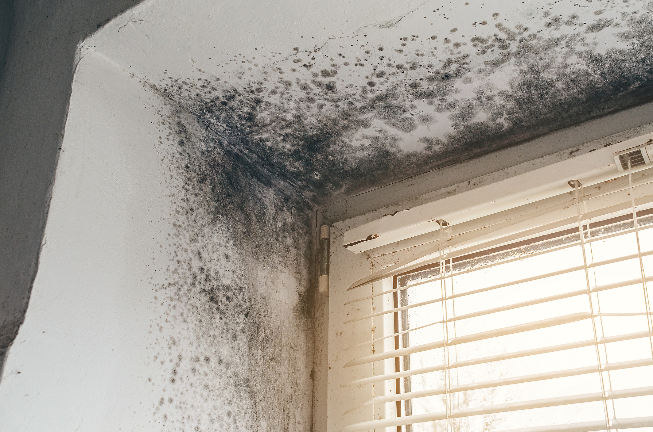 Humidité, santé et logement décent : ce que la loi attend vraiment du propriétaire