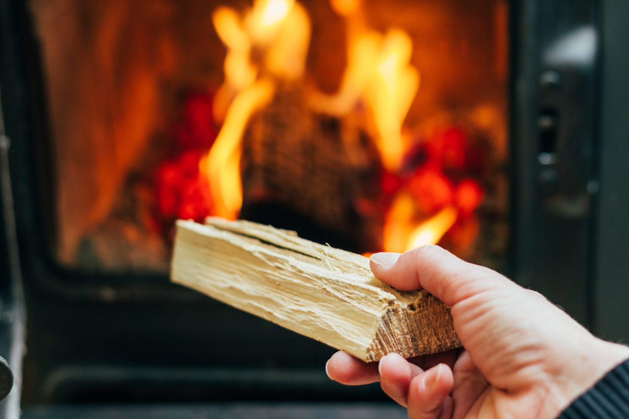 Chêne, charme, hêtre : les rois du feu au banc d'essai