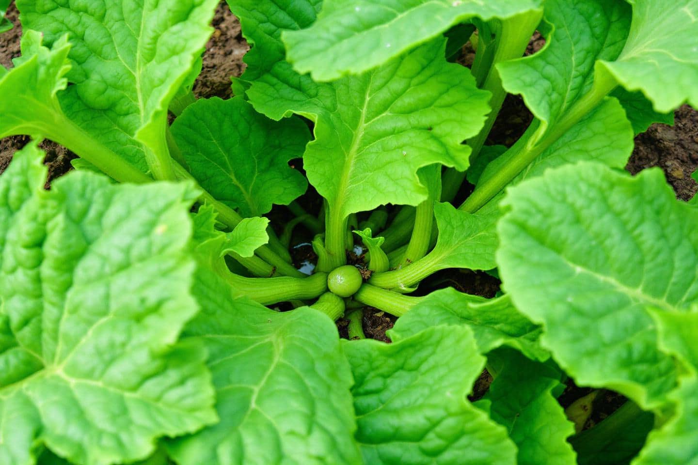 I7d6pcum8y 1762509980